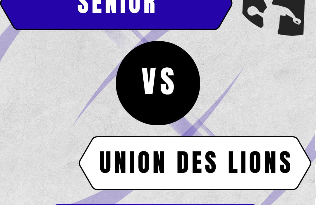 Match au sommet pour nos Seniors ce samedi ! - HandBall Club de Chaponnay